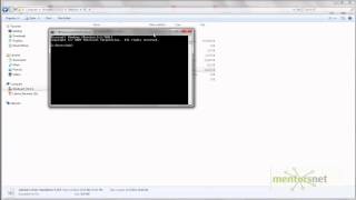 SEL 17: How To Start Selenium RC Server