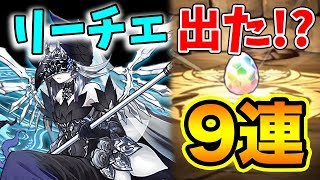 【パズドラ】リーチェ 出るかも!?降臨ガチャをまとめて9連とゴッドフェスをちょっと引きます【パズル&ドラゴンズ】