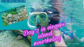 DAY 2 IN VIEQUES ISLAND PUERTO RICO: SNORKELING, LUNCH IN IN ONE OF THE SEASIDE RESTAURANT.