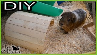 DIY TÚNEL DE MADERA CON CAJAS RECICLADAS PARA ROEDORES Y CONEJOS | HAZLO TÚ MISMO | ESPECIAL COBAYAS