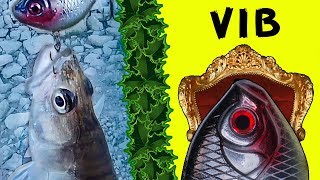 Судак без ума от этого раттлина!!! (ловля судака на vib)
