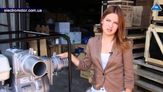 Мотопомпа koshin kth-100x