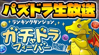 【生放送】ガチャドラフィーバー76盤面！パズルを楽しんで速攻で終わらせる！【スー☆パズドラ 】