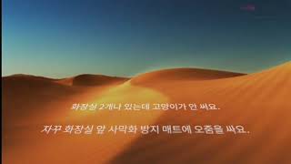 포쉬펫부티크 '깔끔이'