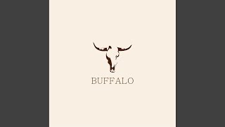 Buffalo