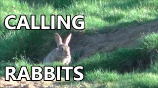 The mystic art of calling rabbits.....