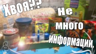 Я ИСПОЛЬЗОВАЛА ХВОЮ???