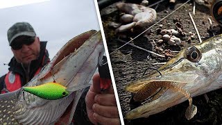 Ловля щуки на воблеры и джиг приманки. Catching pike on lures and jig