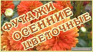 ? ? Футажи цветочные осенние ? ? Натуральные видеофоны для видеомонтажа HD ? ? ?