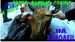 Опалили голову и ноги БЫКА на холодец. Как палить голову  говяжью