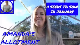 11 seeds to sow in january