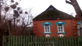 Село Сумской области  the village of Ukraine,  how they live in Ukraine