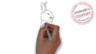 Как поэтапно карандашом нарисовать зайца строителя