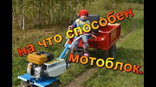 Мотоблок в деревне  заменит любой минитрактор . Деревенский блокнот.