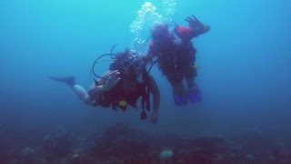 PADI Open Water Diver Course