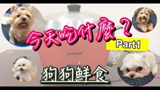 寵物狗狗鮮食?今天吃什麼？part1｜ Easy Homemade Dog Food