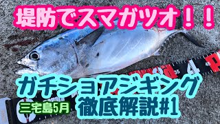 堤防でスマガツオ釣れた！ショアジギング徹底攻略#1 【三宅島】