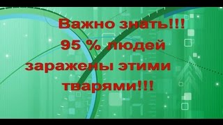 Паразиты внутри человека   Важно знать