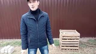 Морозостойкие сорта киви. Нужно ли укрывать?
