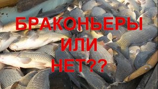 БРАКОНЬЕРЫ ИЛИ НЕТ.Подводная охота р.Днепр.spearfishing