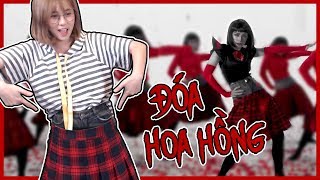 ĐIỆN MÁY XANH + CHẠY NGAY ĐI = CHIPU ????? || REACTION MV - ĐÓA HOA HỒNG (QUEEN) - CHIPU