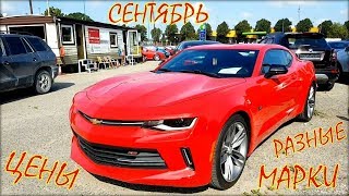Авторынок Литва 2019, цены авто на сентябрь.