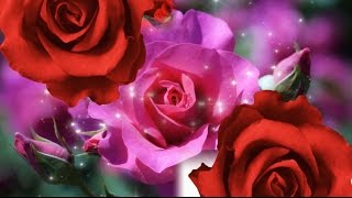 ✿Цветочные переходы для Proshow Producer бесплатно