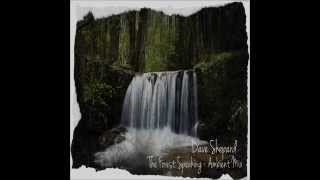 Dave Shepard The Forest Speaking Ambient Mix