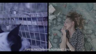 Ты-мой мир