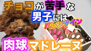 【バレンタイン】ダイソーの肉球シリコン型で作るチョコマドレーヌの作り方 Valentine.  Meat ball type chocolate de laine