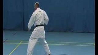 Kihon Kata (Slow)