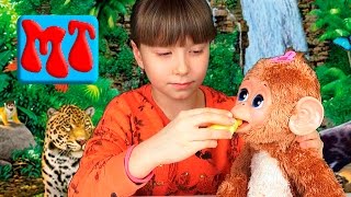 СМЕШЛИВАЯ ОБЕЗЬЯНКА, эта обезьянка смеется, кушает, веселиться и умеет спать Fun-loving monkey #486