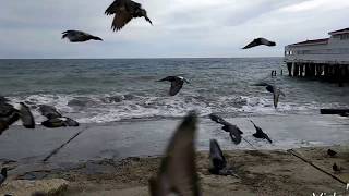 Крым Алушта Музей миниатюрных достопримечательностей Крыма Набережная, Январь 2017.