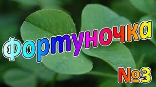 ?Royal Quest?  Фортуна за 7 дней №3