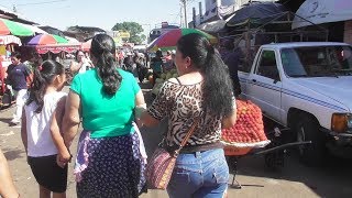 CONOCE LA TERMINAL DE RETAHULEU, Aqui Hay de Todo, hasta nos Pesamos las libritas de Mas