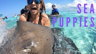 Disney Fantasy: 7 Day Caribbean Cruise Highlights 2019