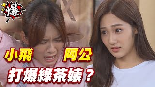 《多情大爆爆》多情城市 EP173 小飛、阿公 打爆綠茶婊？
