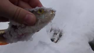 . Зимние блесны , мормышки - безнасадки  , удочки , и блеснилки - своими руками