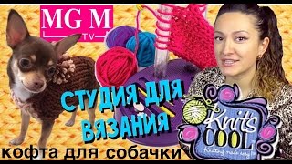 Как связать кофту для собачки на студии для вязания Knits Cool обзор на русском