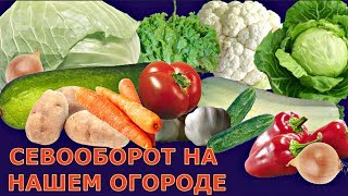 СЕВООБОРОТ - чередование ОВОЩНЫХ КУЛЬТУР в открытом грунте и в теплице