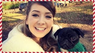 Pug Party! | Vlogmas
