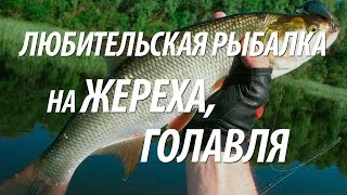КАК ЛОВИТЬ ЖЕРЕХА И ГОЛАВЛЯ. СНАСТЬ ДЛЯ ЛЮБИТЕЛЬСКОЙ РЫБАЛКИ