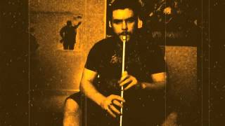 Morrowind Theme (Goldie Low D Whistle)