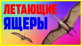 Летающие ящеры - хищные динозавры.