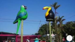 #Tortuguero - Costa Rica