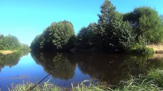 Рыбалка на живца поплавочной удочкой. Fishing, Russian style!