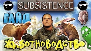 Subsistence | Гайд по Животноводству
