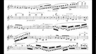 Saint-Saëns, Camille violin concerto no.3 mvt1