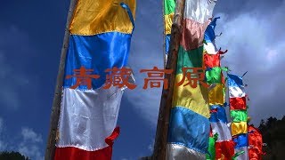 青藏高原, Tibetan Plateau, cover by yuanyuan88, 原唱 李娜
