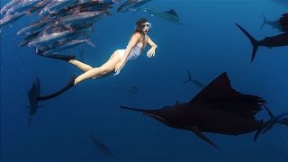 Roberta Mancino Bikini Dives With, And Dodges, The World's Fastest Fish | Robertalicious, Ep. 5